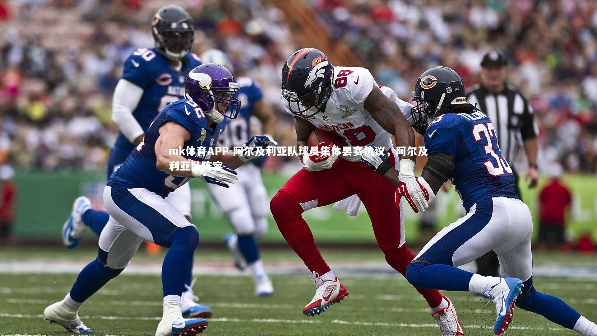 阿尔及利亚队球员集体罢赛抗议，阿尔及利亚队阵容