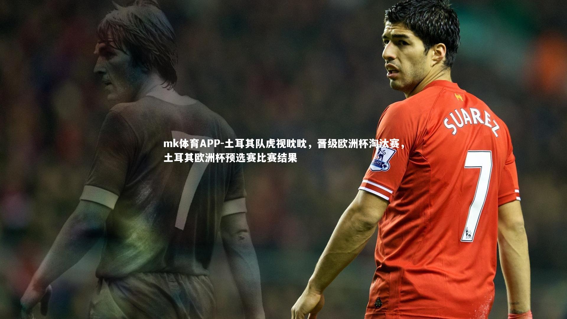 mk体育APP-土耳其队虎视眈眈，晋级欧洲杯淘汰赛，土耳其欧洲杯预选赛比赛结果