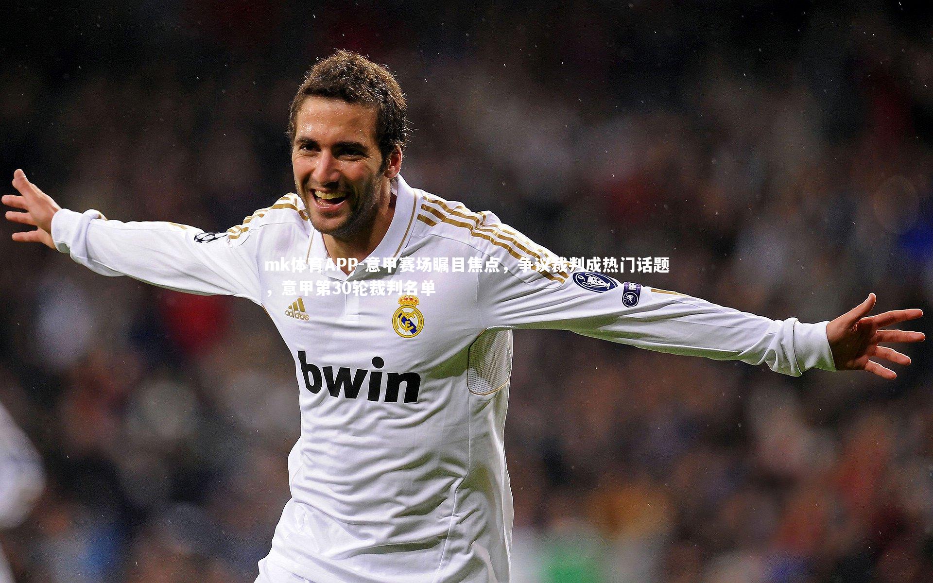 意甲赛场瞩目焦点,争议裁判成热门话题,意甲第30轮裁判名单